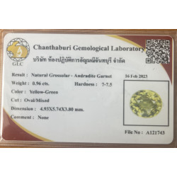 Grenat grossulaire - andratite 0.96ct avec Certificat